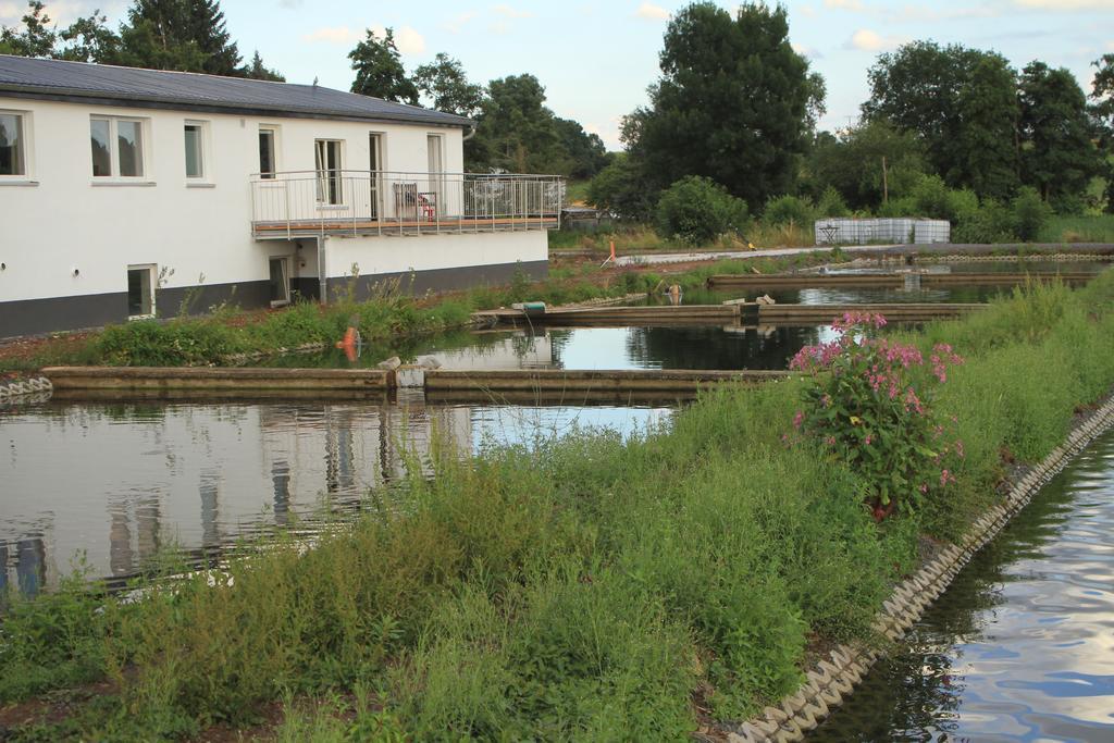 Ruhige Ferienwohnungen Mit Teichblick Wetterfeld ภายนอก รูปภาพ